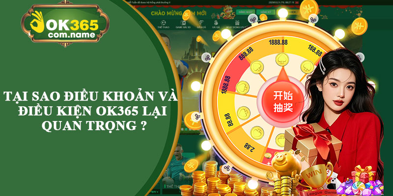 Tại Sao Điều Khoản Và Điều Kiện OK365 Lại Quan Trọng ?
