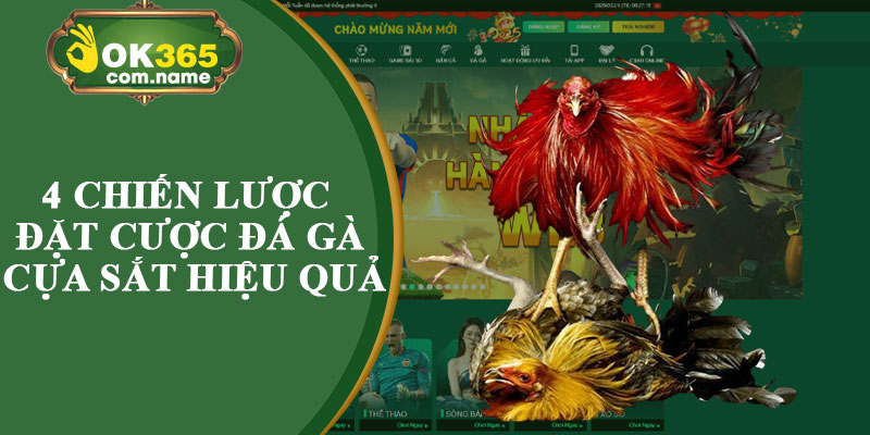 4 Chiến Lược Đặt Cược Đá Gà Cựa Sắt Hiệu Quả
