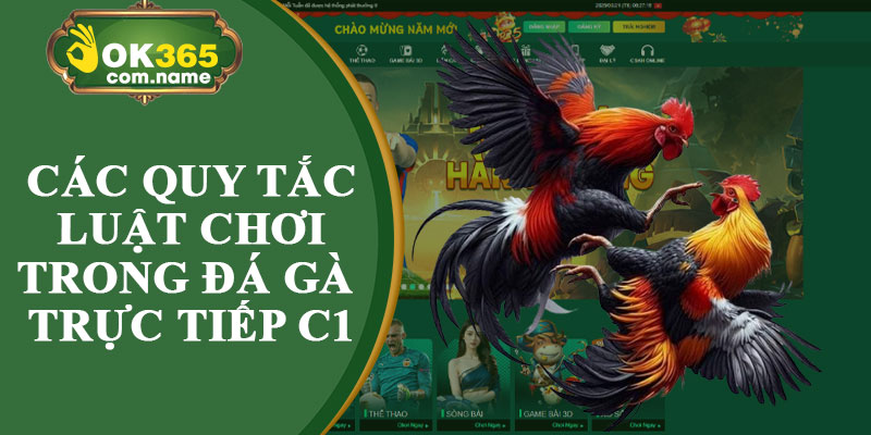 Các Quy Tắc Luật Chơi Trong Đá Gà Trực Tiếp C1