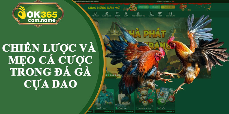 Chiến Lược Và Mẹo Cá Cược Trong Đá Gà Cựa Dao