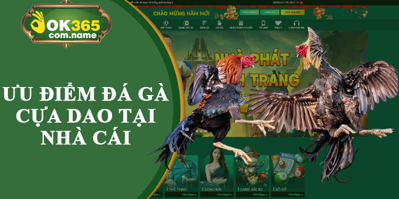 Ưu Điểm Đá Gà Cựa Dao Tại Nhà Cái