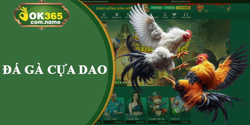 Đá Gà Cựa Dao
