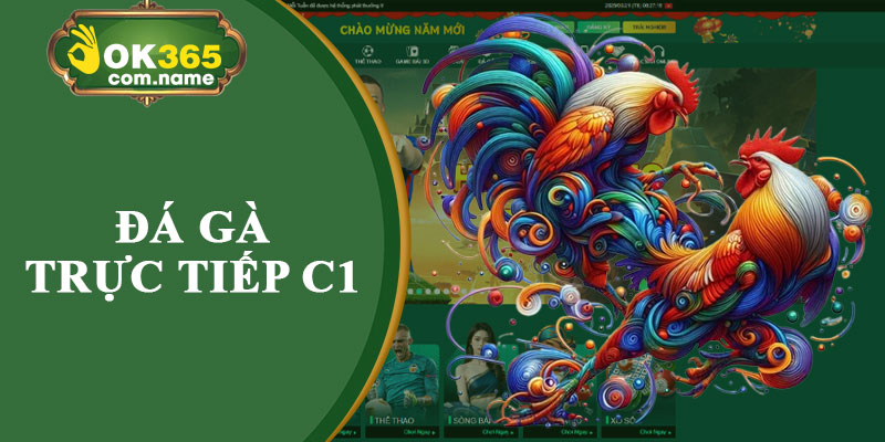 Đá Gà Trực Tiếp C1