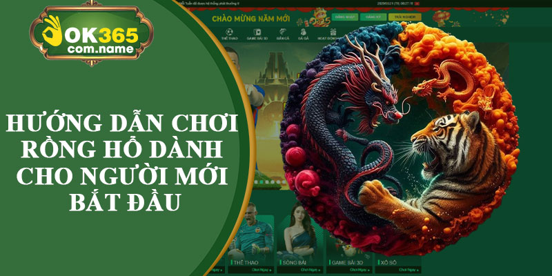 Hướng Dẫn Chơi Rồng Hổ Dành Cho Người Mới Bắt Đầu