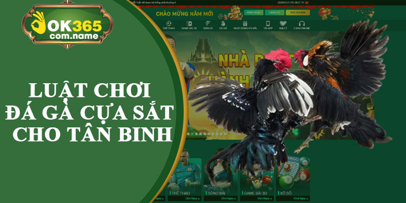 Luật Chơi Đá Gà Cựa Sắt Cho Tân Binh