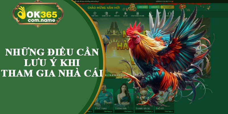 Những Điều Cần Lưu Ý Khi Tham Gia Nhà Cái