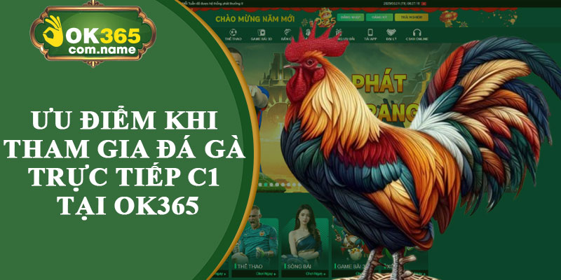 Ưu Điểm Khi Tham Gia Đá Gà Trực Tiếp C1 Tại Ok365